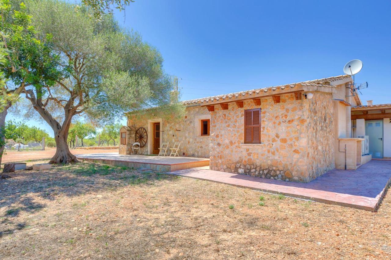 Villa Calvia Countryside Dış mekan fotoğraf